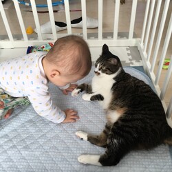 「相変わらず元気です！！」サムネイル3