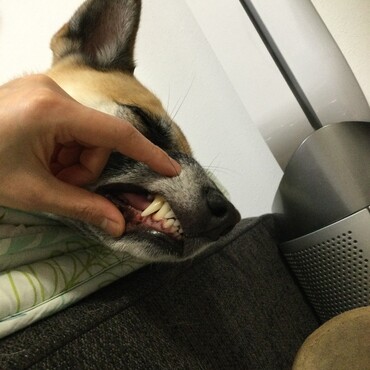 の写真