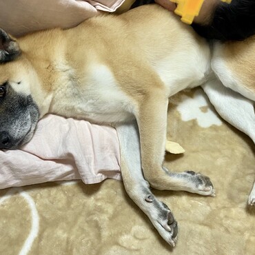 の写真