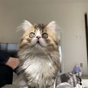 の写真