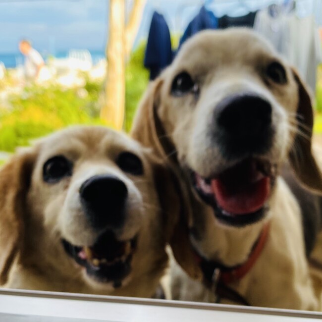 オノザワのカバー写真