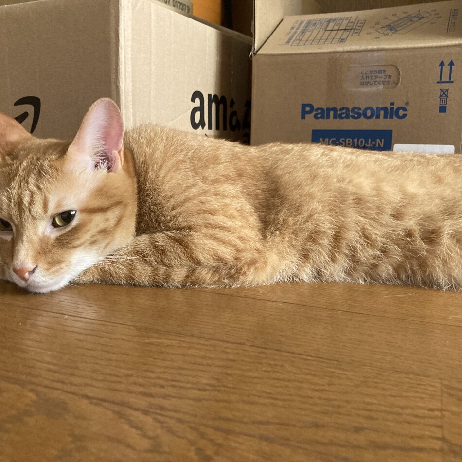 なつのカバー写真