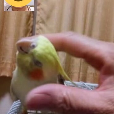 カキカキされて至福の時…