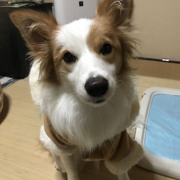 の写真