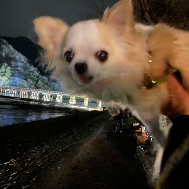 daioh3のカバー写真