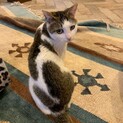 スマートなもずくちゃん