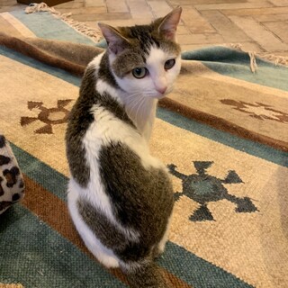 スマートなもずくちゃん