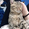 にしむら24