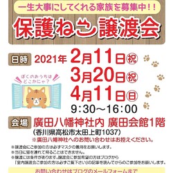 保護猫室内譲渡会