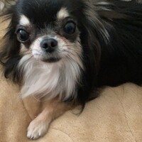 ぷう