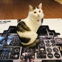 ツッチー