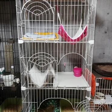 三段ケージ