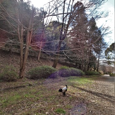 寒くても元気