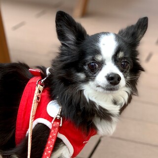 お鼻でチュッ♪ってしてくれる 可愛ィ♡みおちゃん