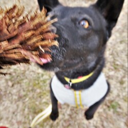 「三つ子の魂」サムネイル2