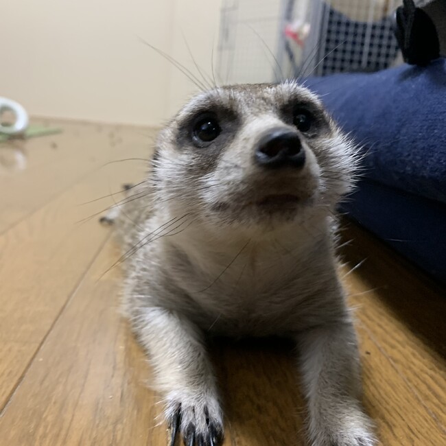 そーしのカバー写真