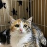 応募一旦停止！丸顔でお目目もまん丸かのこちゃん❤️ サムネイル3