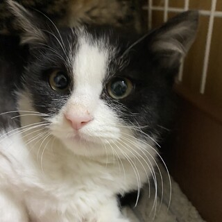 ちょっぴりビビりだけど甘えん坊⁉︎なはつきくん❤️