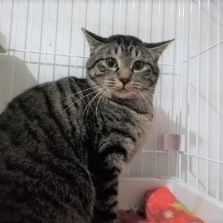 怖がりですが馴れてきました