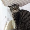 怖がりですが馴れてきました サムネイル3
