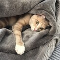 イケメンの甘えん坊❤️ちゃっぴー