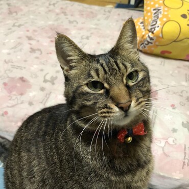 の写真