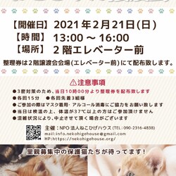 【2/21足立区譲渡会】島忠大谷田店 サムネイル1