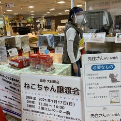 【2/21足立区譲渡会】島忠大谷田店 サムネイル2