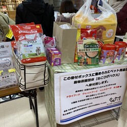 【2/21足立区譲渡会】島忠大谷田店 サムネイル3