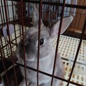元気いっぱいあきなちゃん推定1歳半