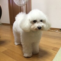 ミルク