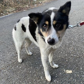 一旦応募ストップです^^