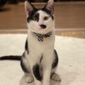 人馴れ抜群！！お髭がチャームポイントのリーサーくん