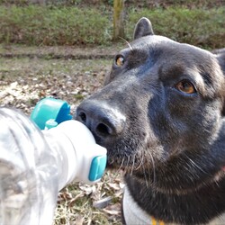 「直飲み」サムネイル1