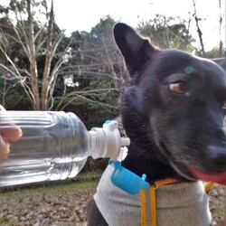 「直飲み」サムネイル3