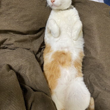 の写真