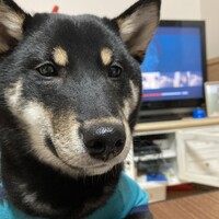 のあ