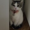 の写真