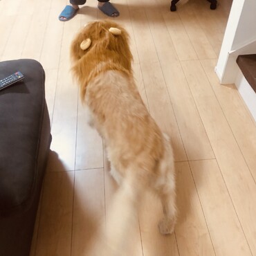 の写真