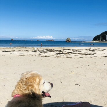 の写真
