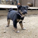 ＜募集停止＞メルモちゃん2ヶ月