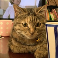 ミオ