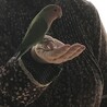 ななちゃんと