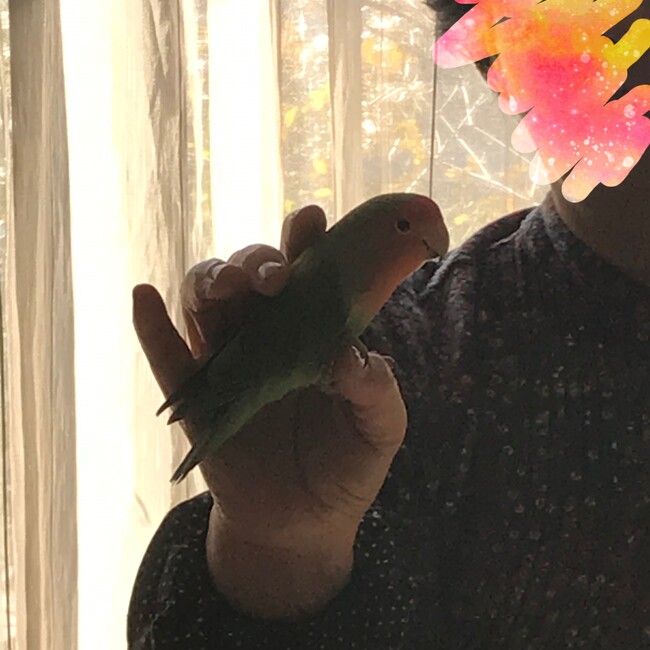 ななちゃんとのカバー写真