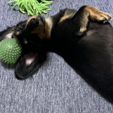 の写真