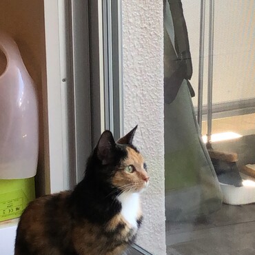 でも、外が気になる