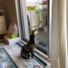 スタイルいいなぁ