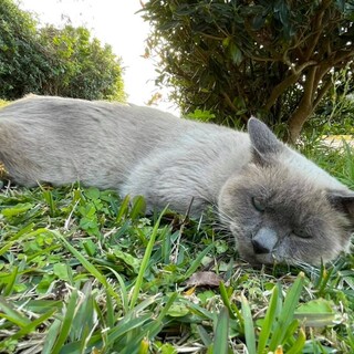 ずっとのおうちがみつかりました(^^)