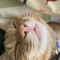 ハヌル