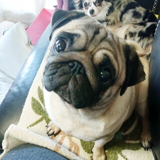 幸せに成りました♡ありがとうございました